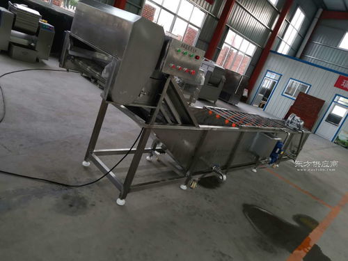 全自動土豆大姜毛刷清洗機 高效清潔的農(nóng)業(yè)助手